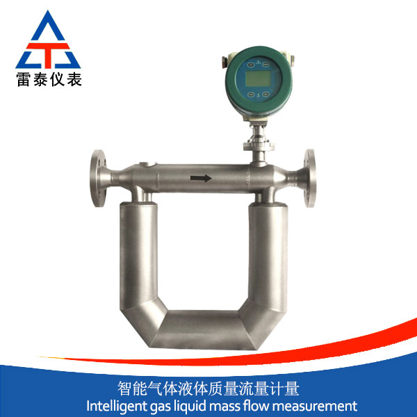 智能氣體液體質(zhì)量流量計(jì)量